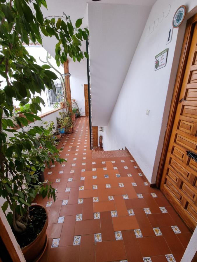 コルドバApartamento Entre Patios San Basilioアパートメント エクステリア 写真