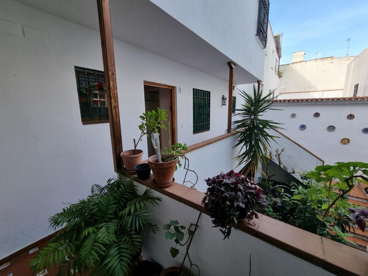 コルドバApartamento Entre Patios San Basilioアパートメント エクステリア 写真